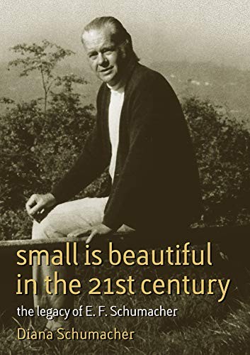 Tapa de Small Is Beautiful in the 21st Century